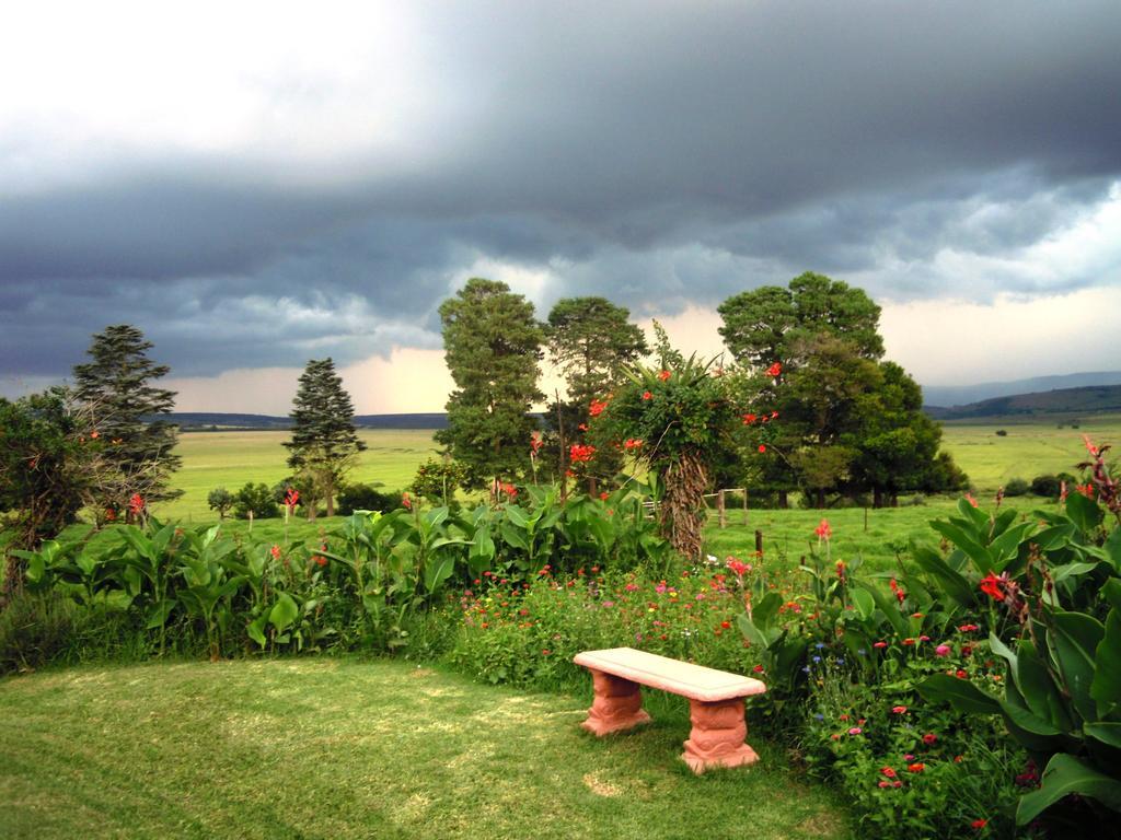 Petra'S Country Guesthouse Vryheid Dış mekan fotoğraf